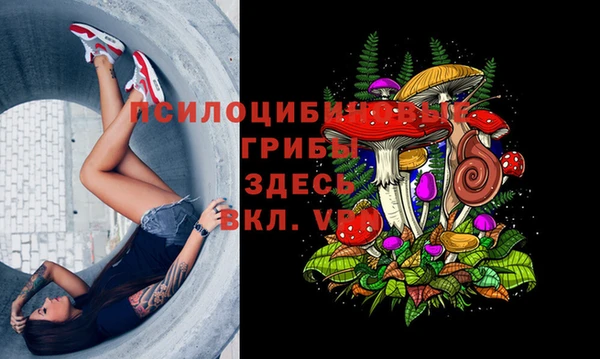 mdpv Заволжье