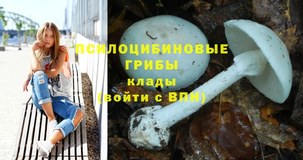 прущая мука Заволжск