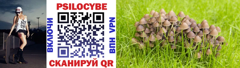 Купить закладки  Сызрань  Галлюциногенные грибы Magic Shrooms 